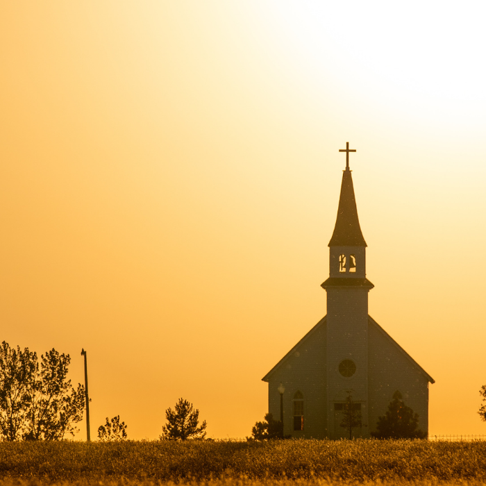 sd-synod-banner