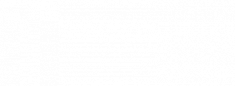 Companion Synod Coordinator